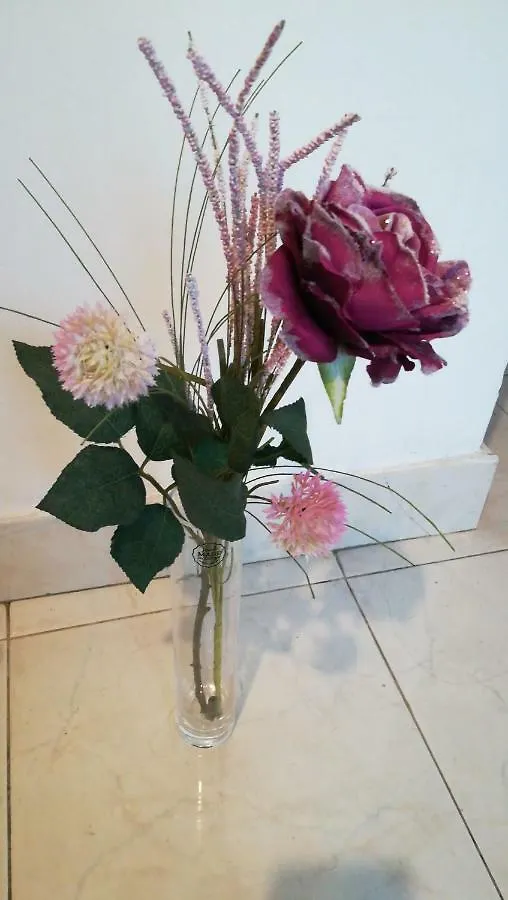 Apartment Center Roko Split Croatia